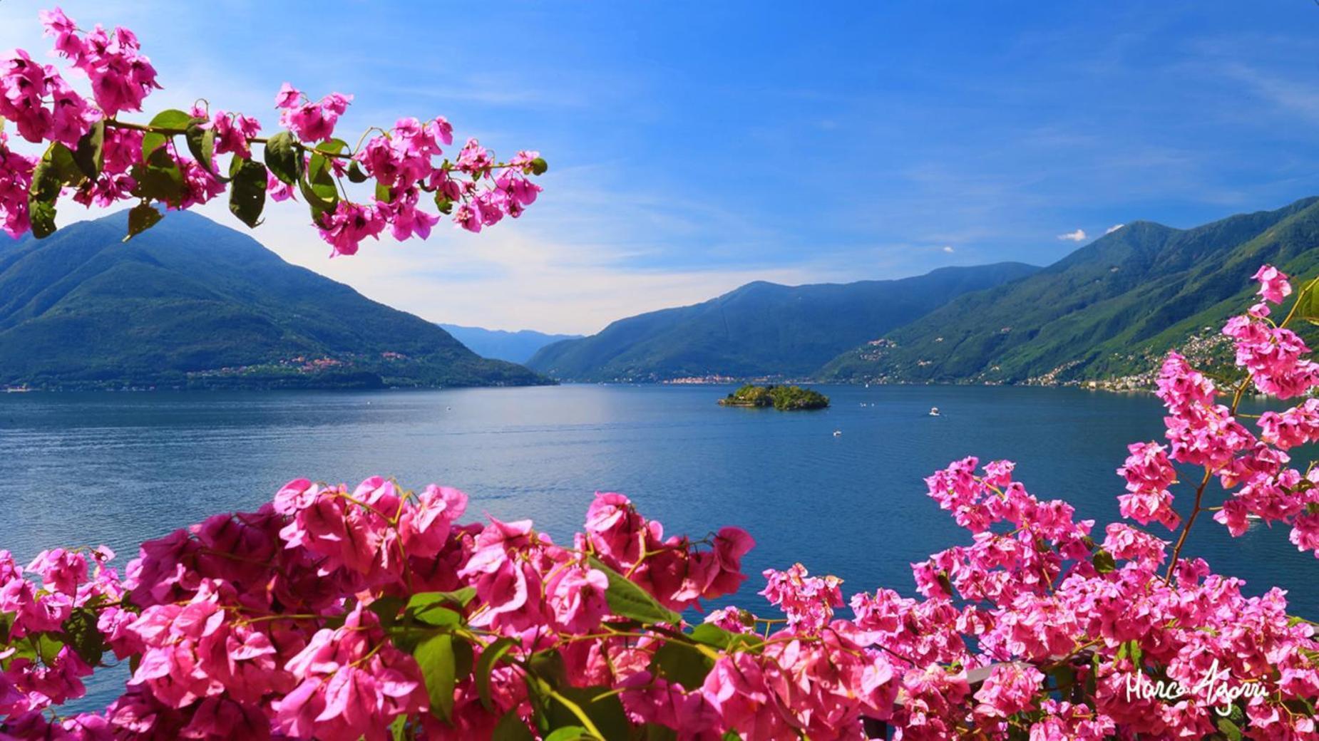 Charme Hotel Al Torchio Ascona Exterior foto